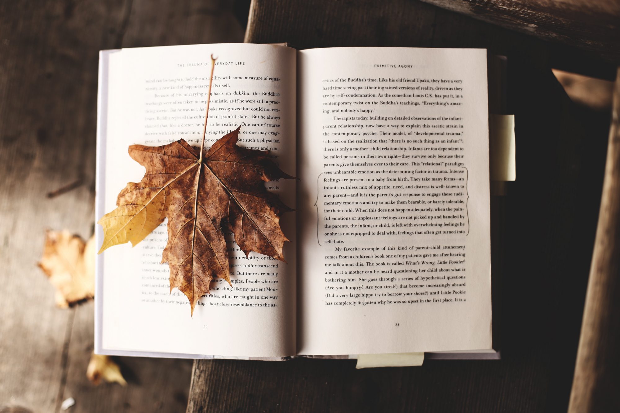 L Automne Vu Par G Sand Citations Ernest Mag Ernest