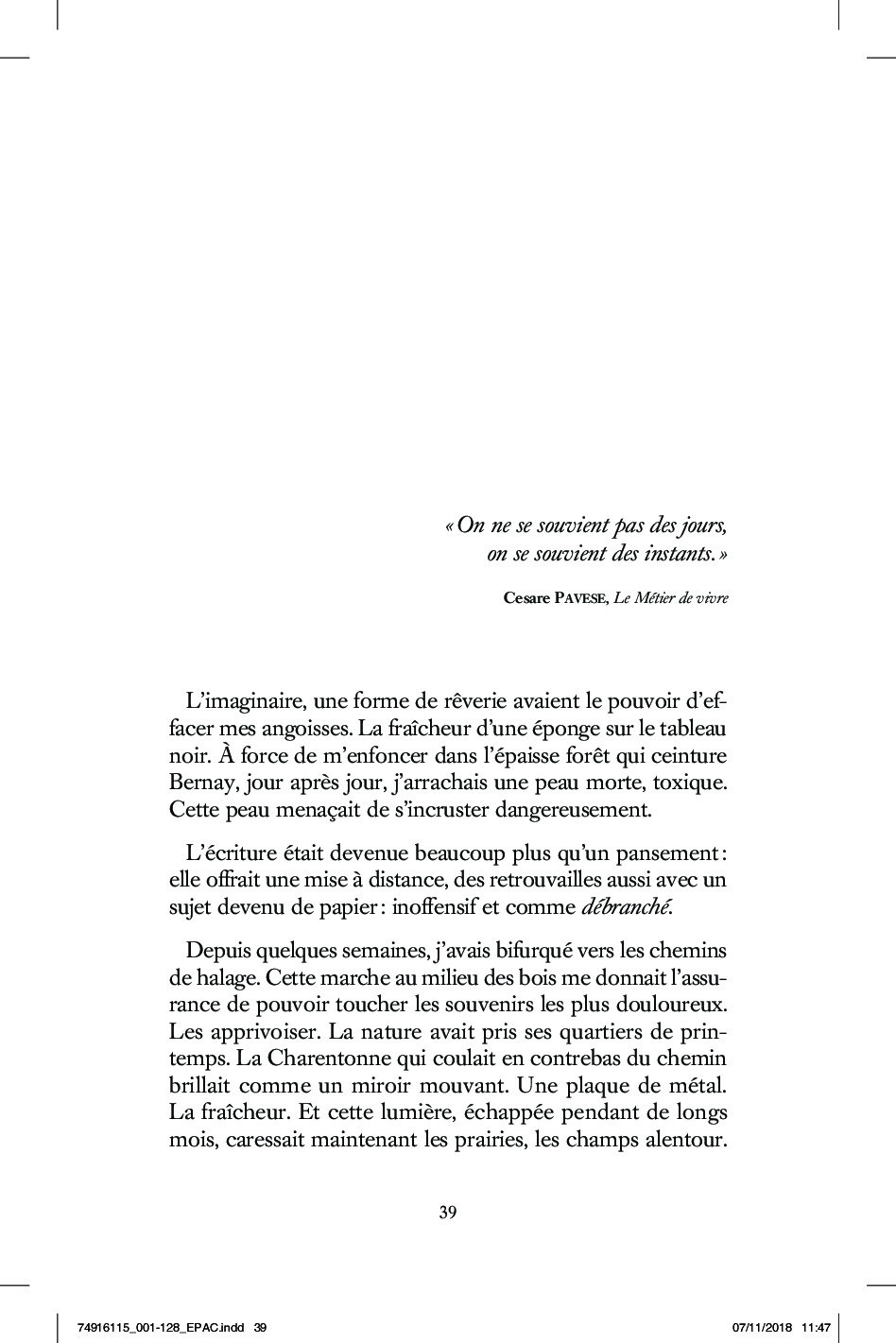 Bonnes Feuilles Basse P39