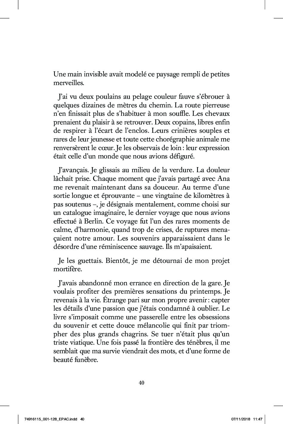 Bonnes Feuilles Basse P40