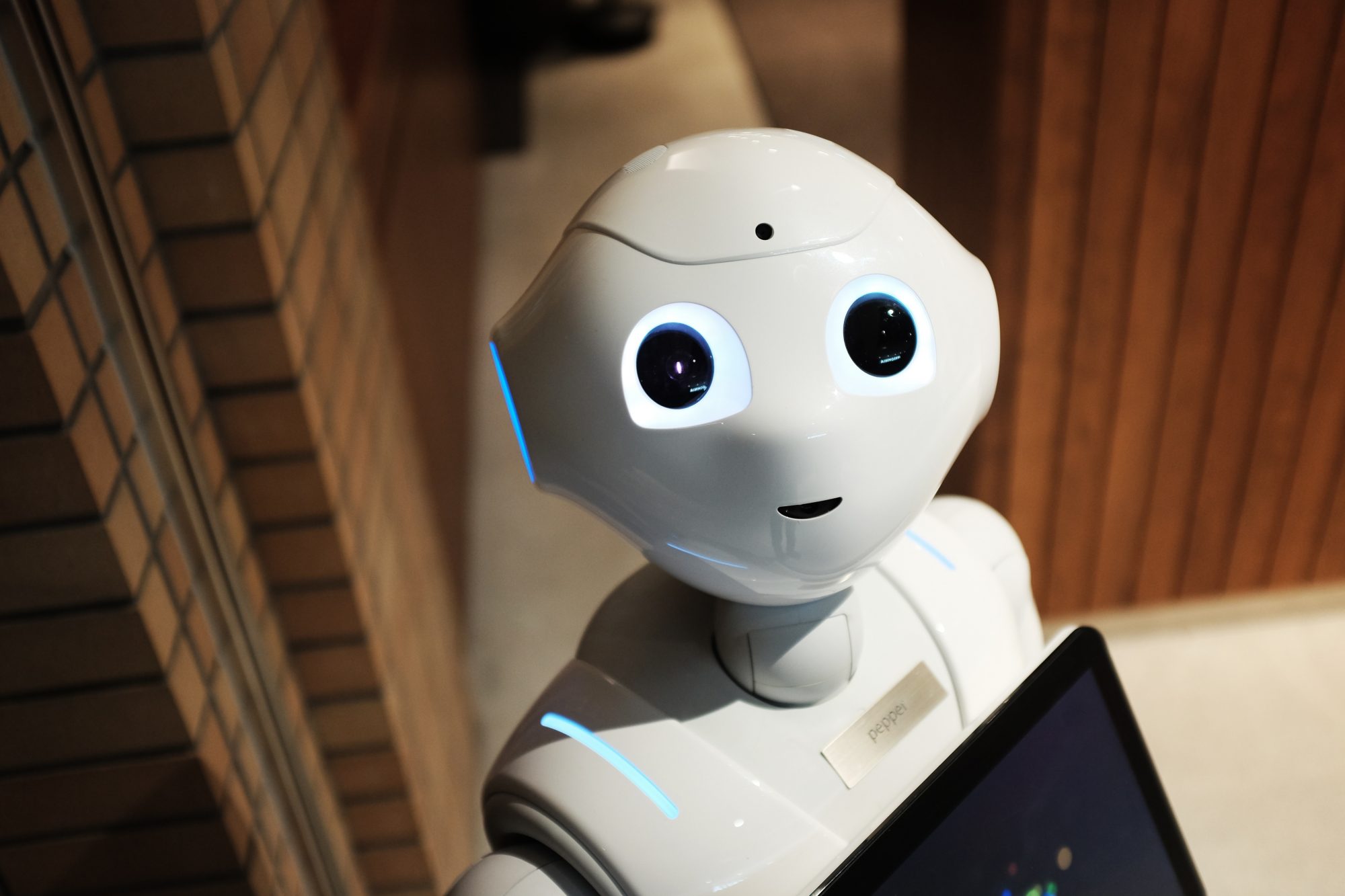 Ernest-Mag-Robot