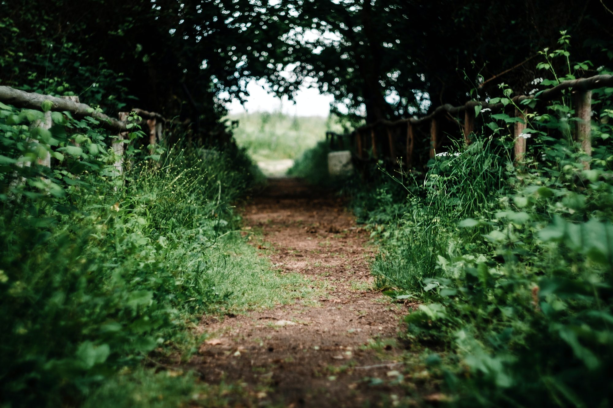 Maria Teneva RHlaMHAzfYM Unsplash